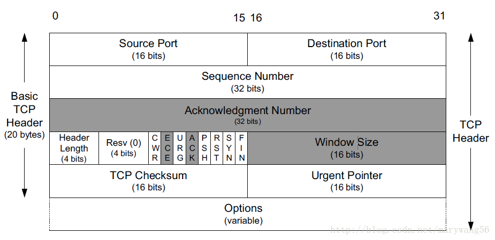 tcp header
